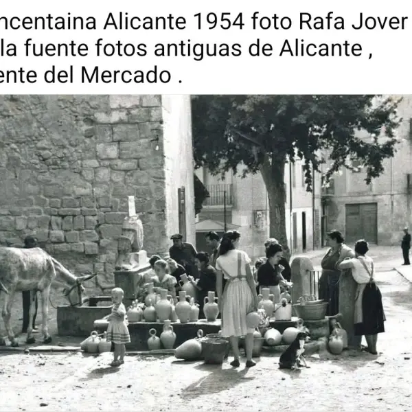 Fuente del Mercado