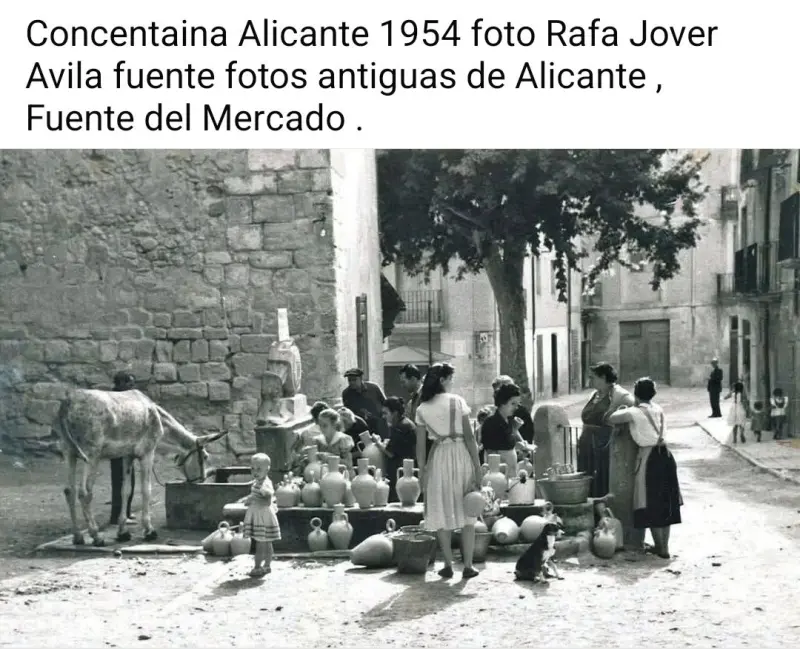 Fuente del Mercado