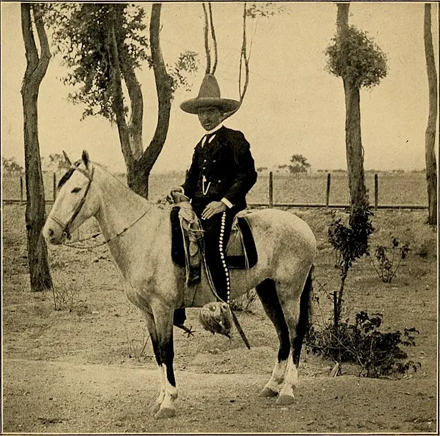 Elegancia a caballo
