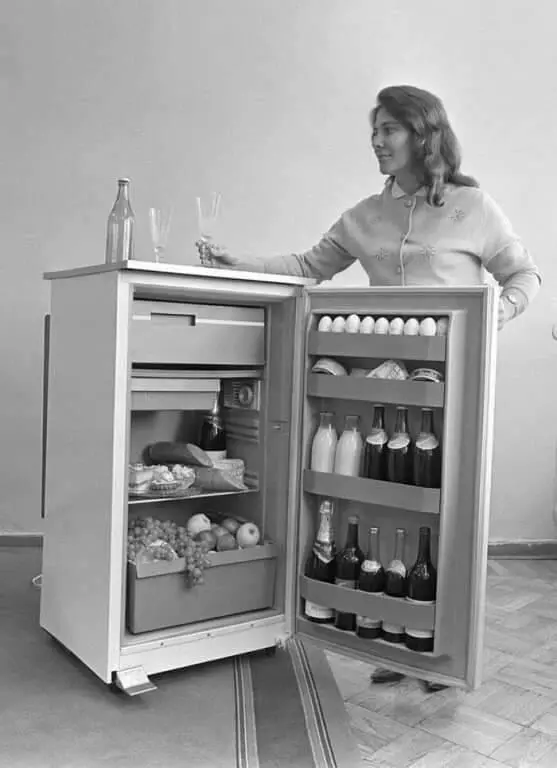 Full Soviet Fridge