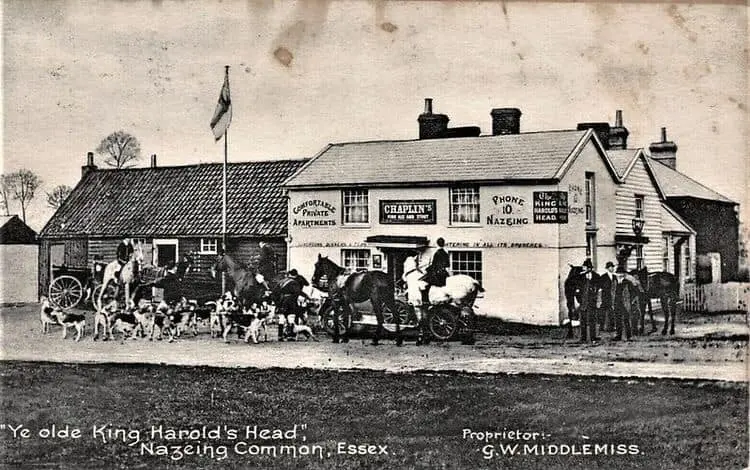 KING HAROLD'S HEAD INN HUNT