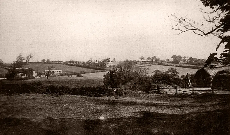 A View of Selby Road – Tranquility in the English Countryside