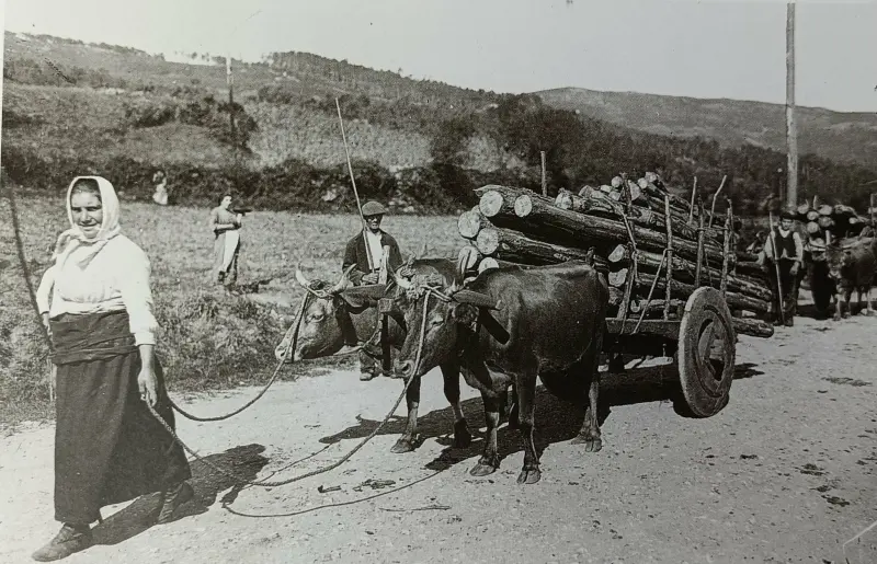 Una mujer llevando madera