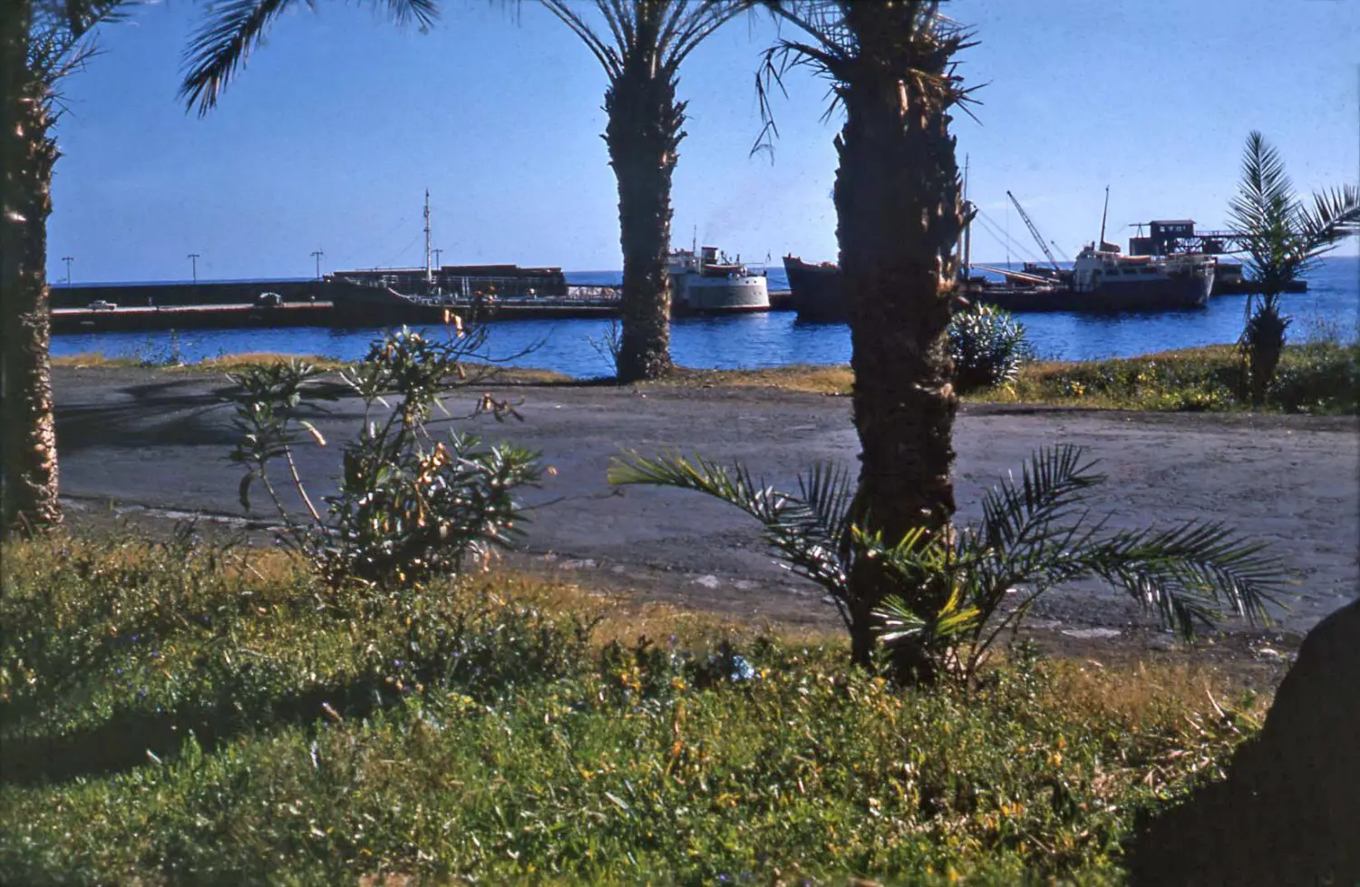 Avenida de Los Indianos