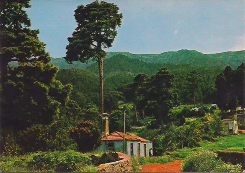 Roque Faro. 