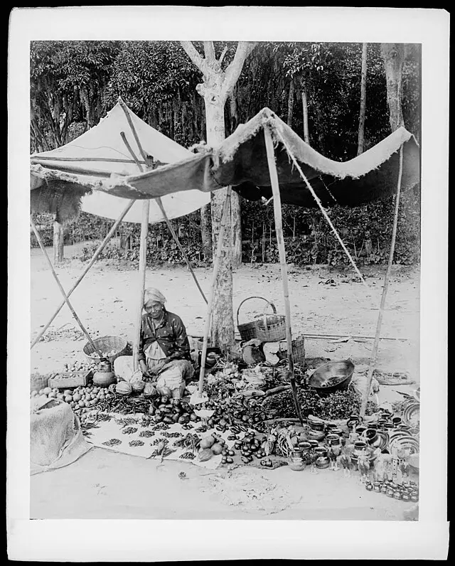 endedora indígena en un mercado