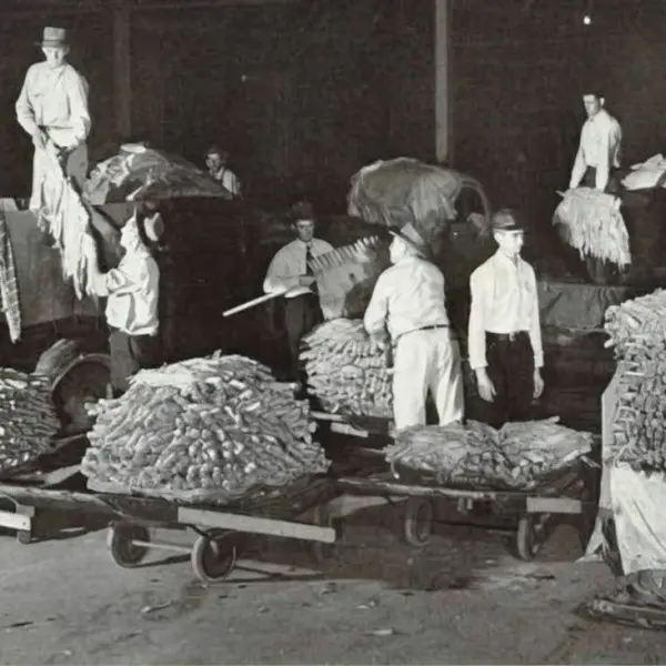 Early-rising farmers
