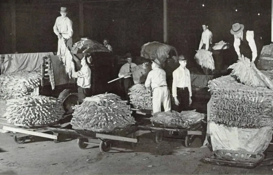 Early-rising farmers