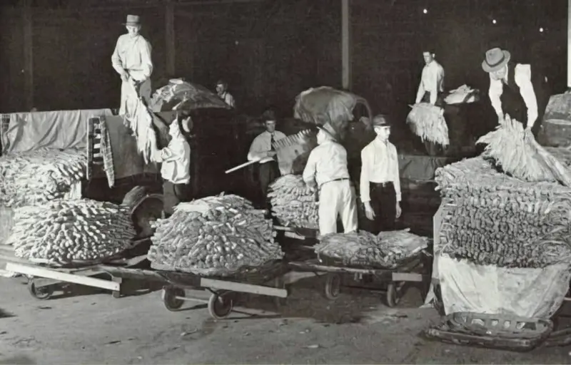 Early-rising farmers