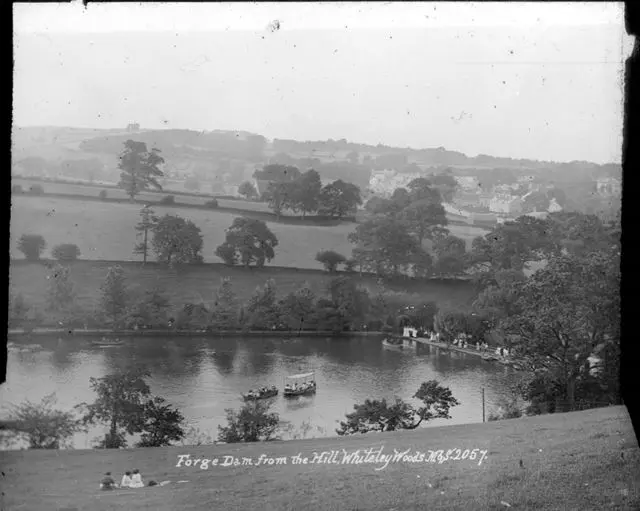 Forge dam from the hill