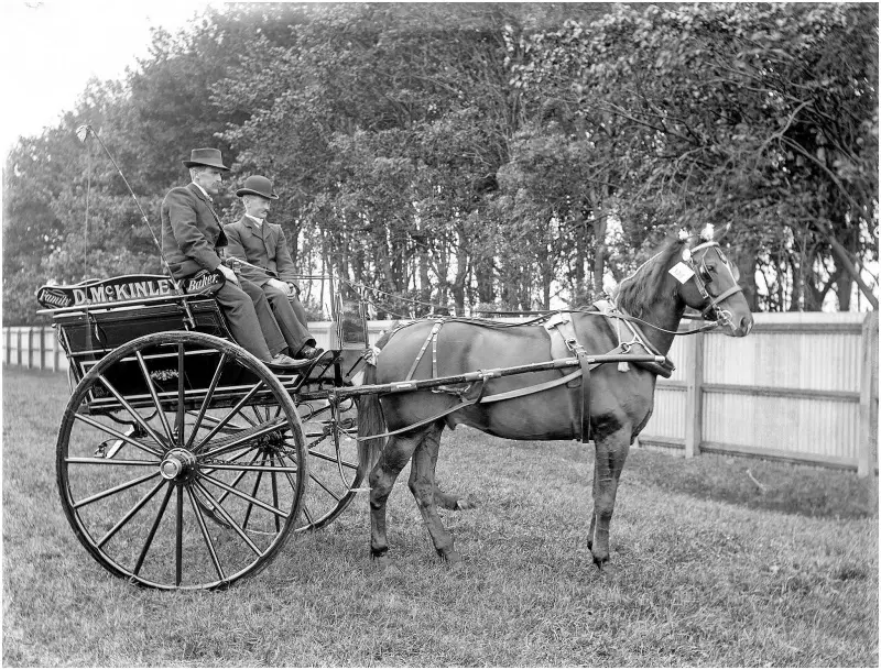 Donald George McKinley