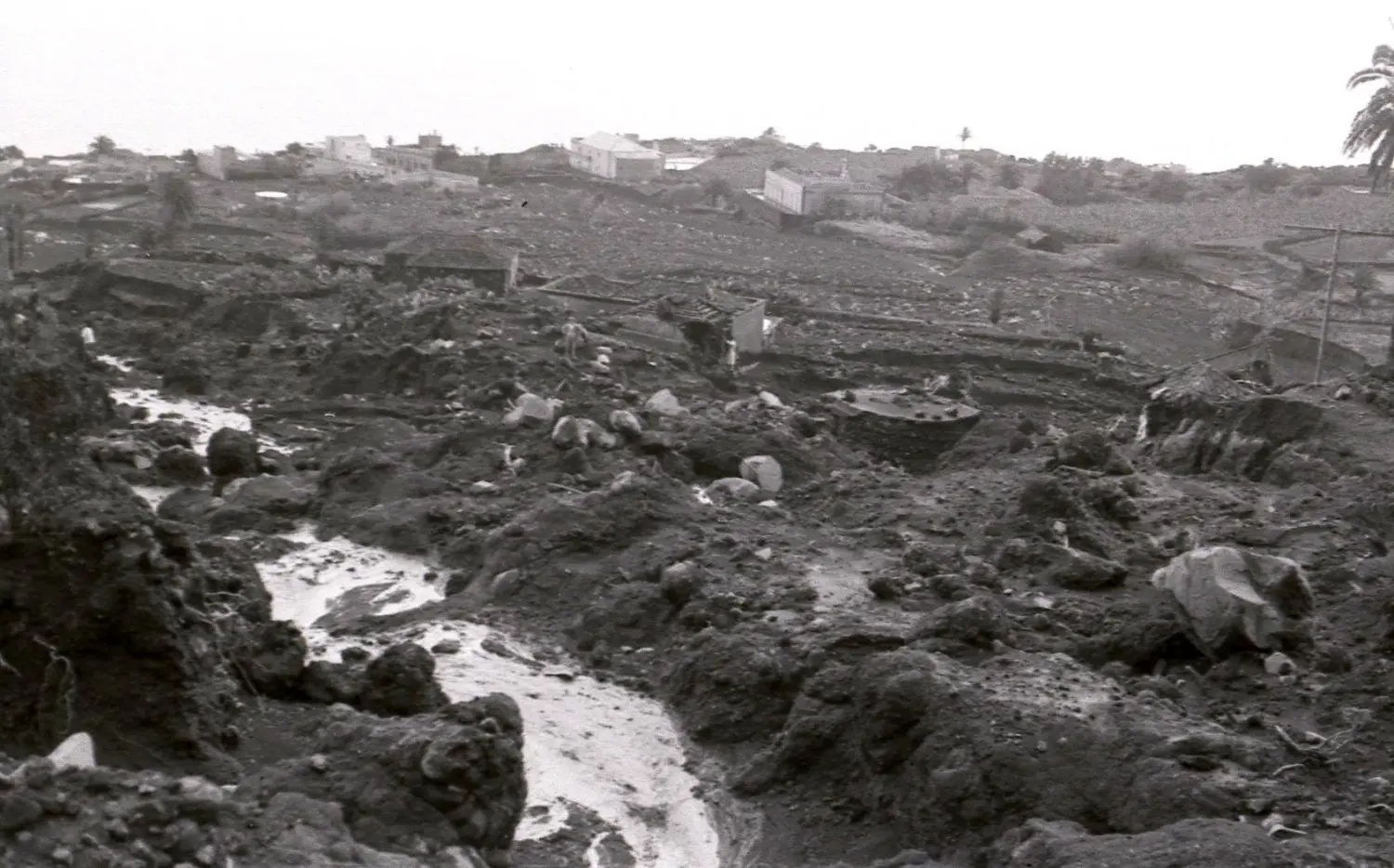 Riada del Llanito - San José