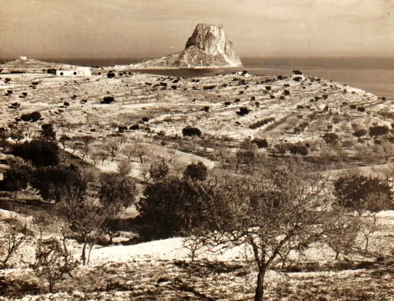 Pinet de la Canuta