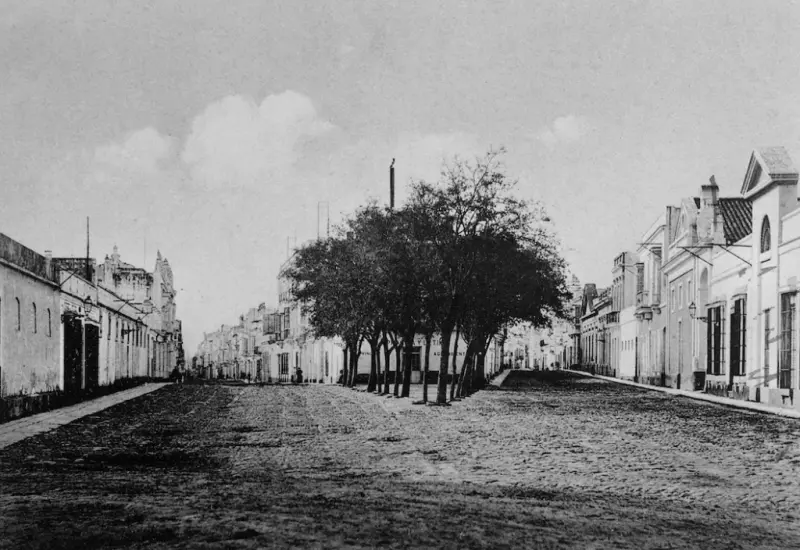 Plaza de los Jazmines