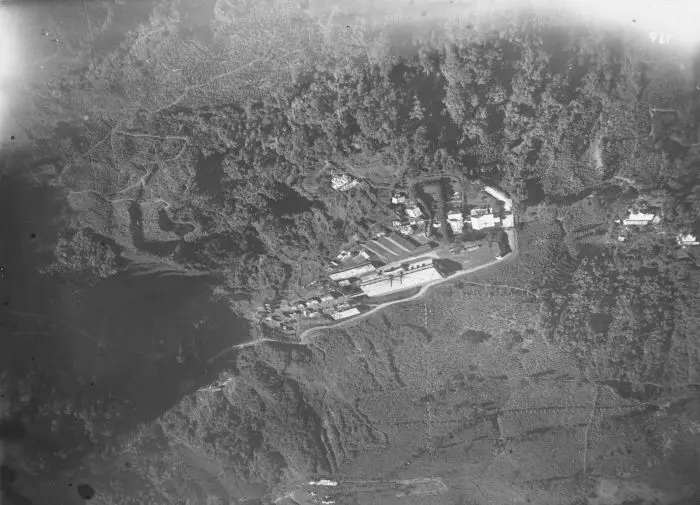Aerial photograph. Waringin trees along the road to Fort Vredeburg in Jogjakarta.