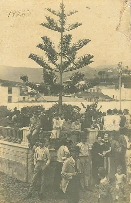 Plaza de La Alameda.