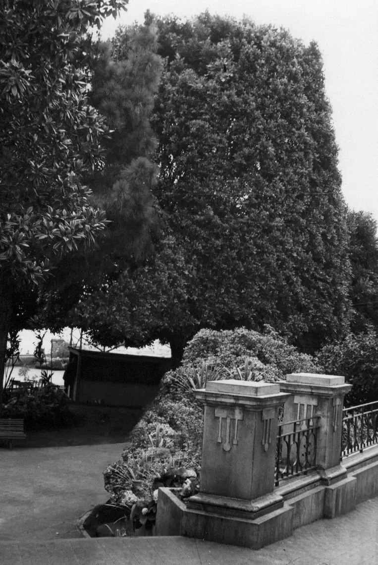 Plaza de La Alameda en Los Sauces