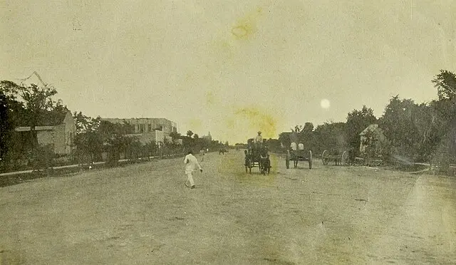 Vista del Paseo de Montejo. 
