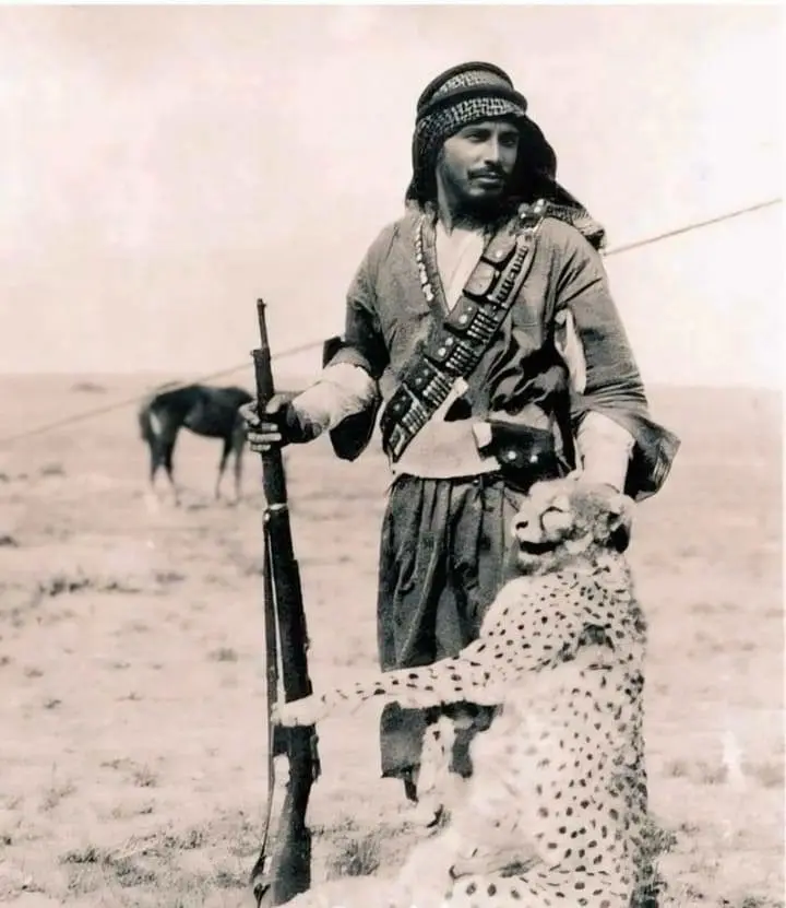 A Bedouin Attacking His Cattle
