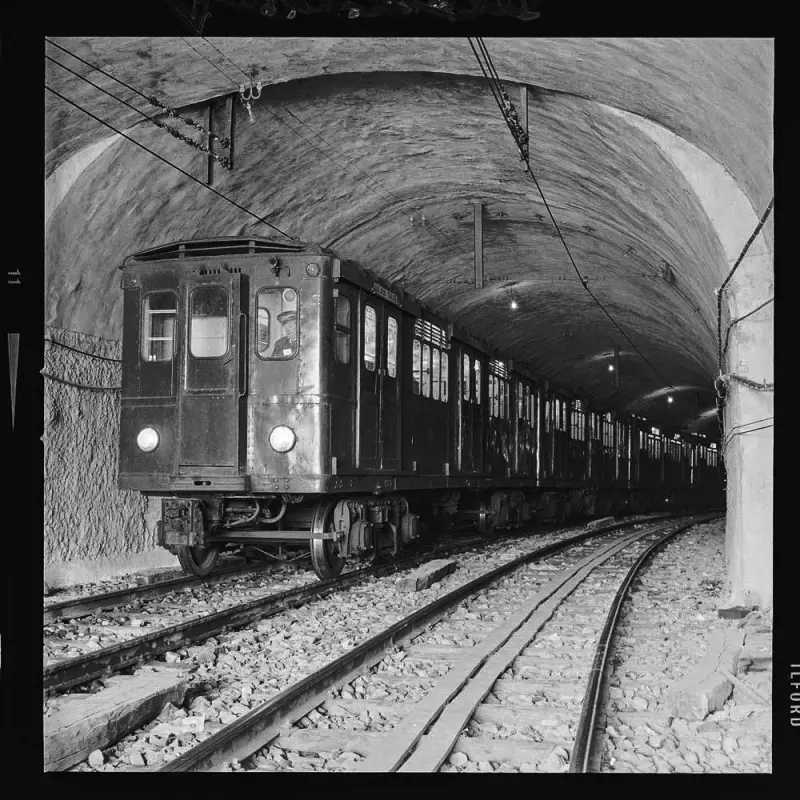 Tren con varios vagones 