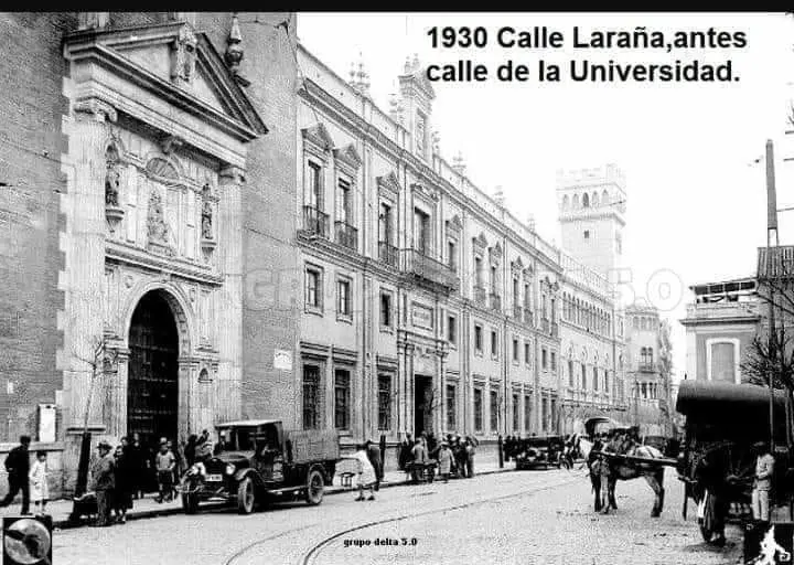 Calle Laraña