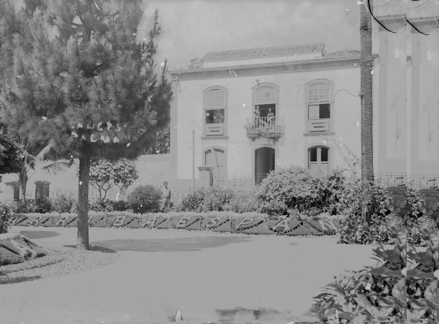 Plaza de La Alameda - Los Sauces