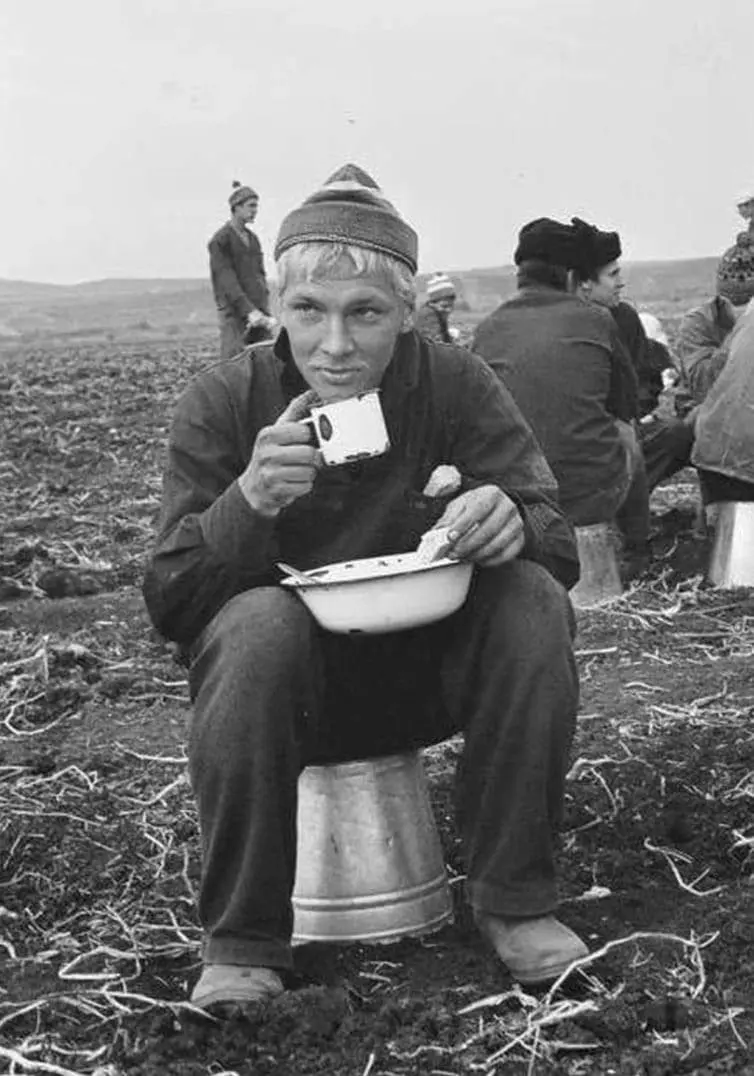 Agricultural Work During Study