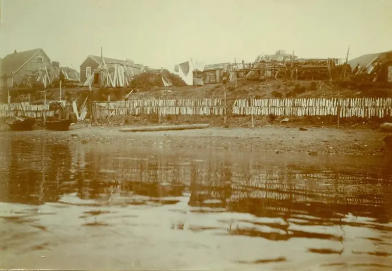 subsistence harvest curing along the beachfront