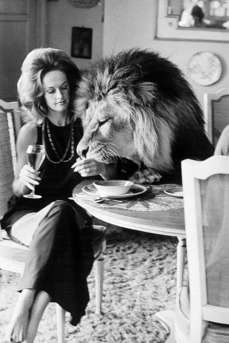 Tippy Hedren and Her Lion