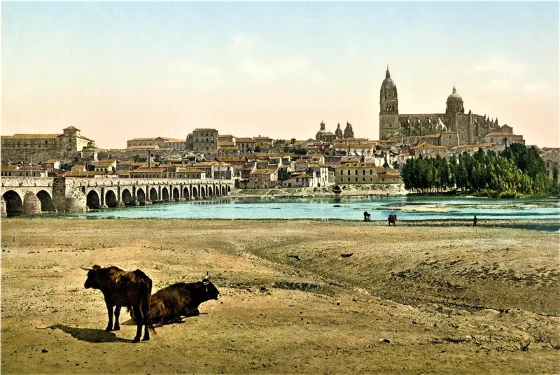 Puente de piedra y catedral.