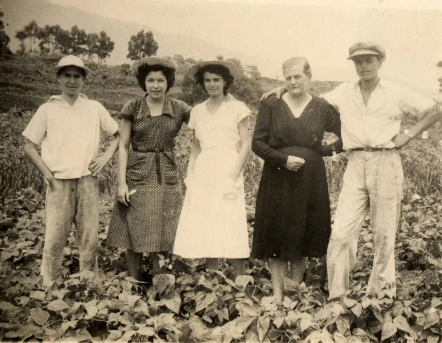 Cultivadores de tabaco en Breña Alta.