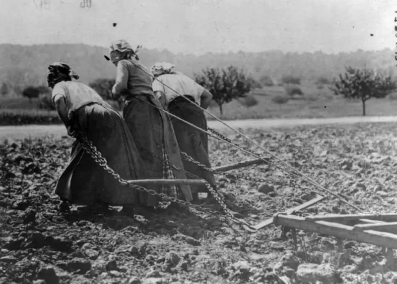 Women pulling agricultural equipment