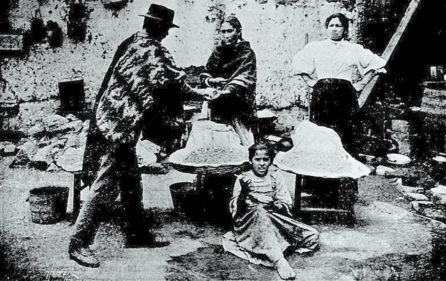 Vendedoras de mote — oficio, calle y vida cotidiana