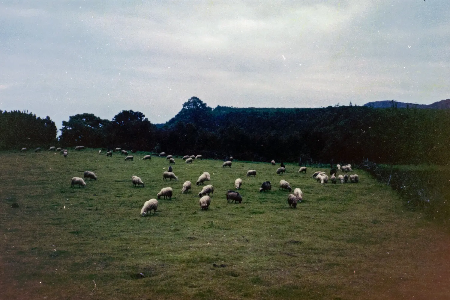 San Antonio del Monte.