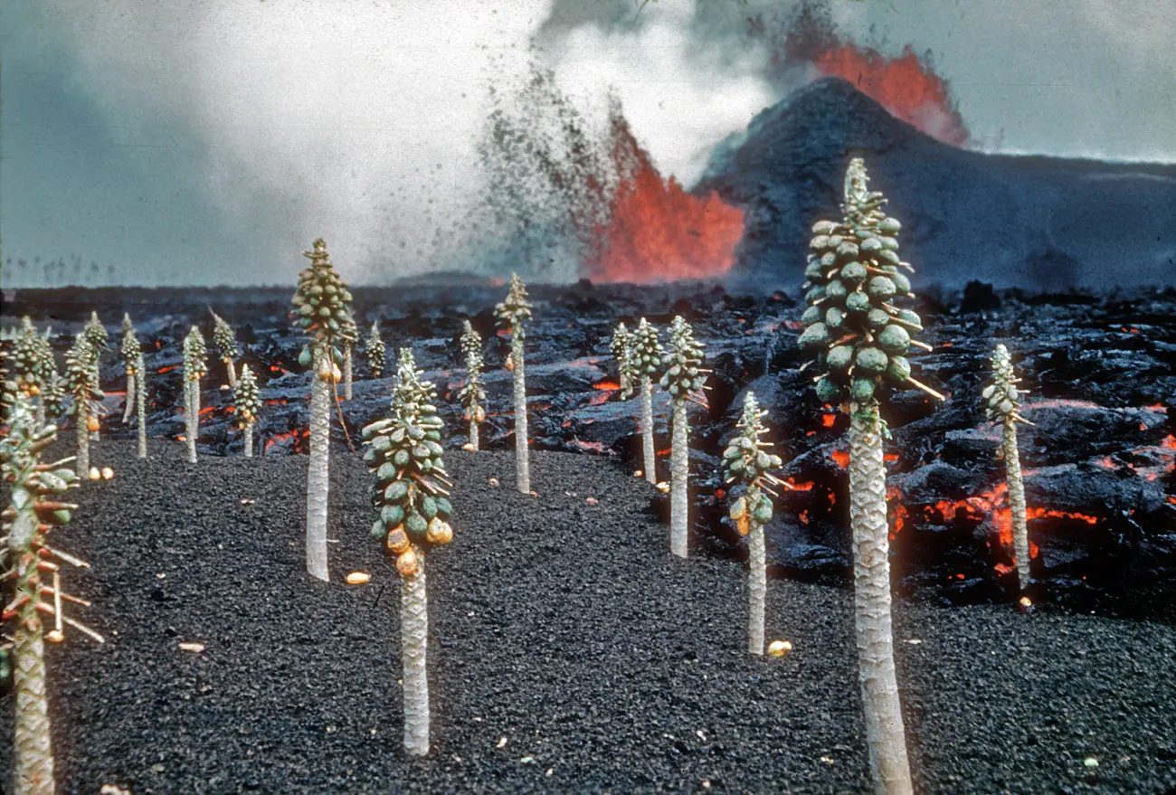 Kilauea eruption