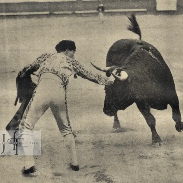 Rafael Gómez 'el Gallo'