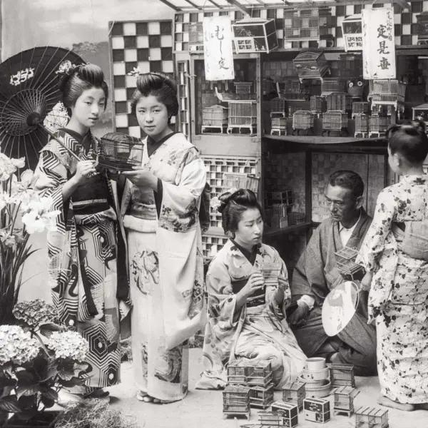 The song-bird shop