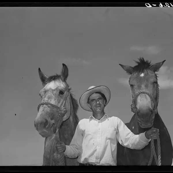 Ernest W. Kirk Jr., with team of mules