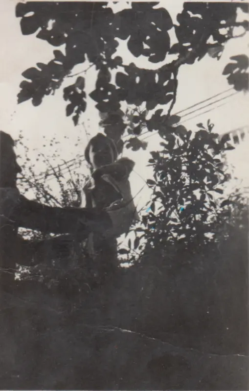 Sesión fotográfica 