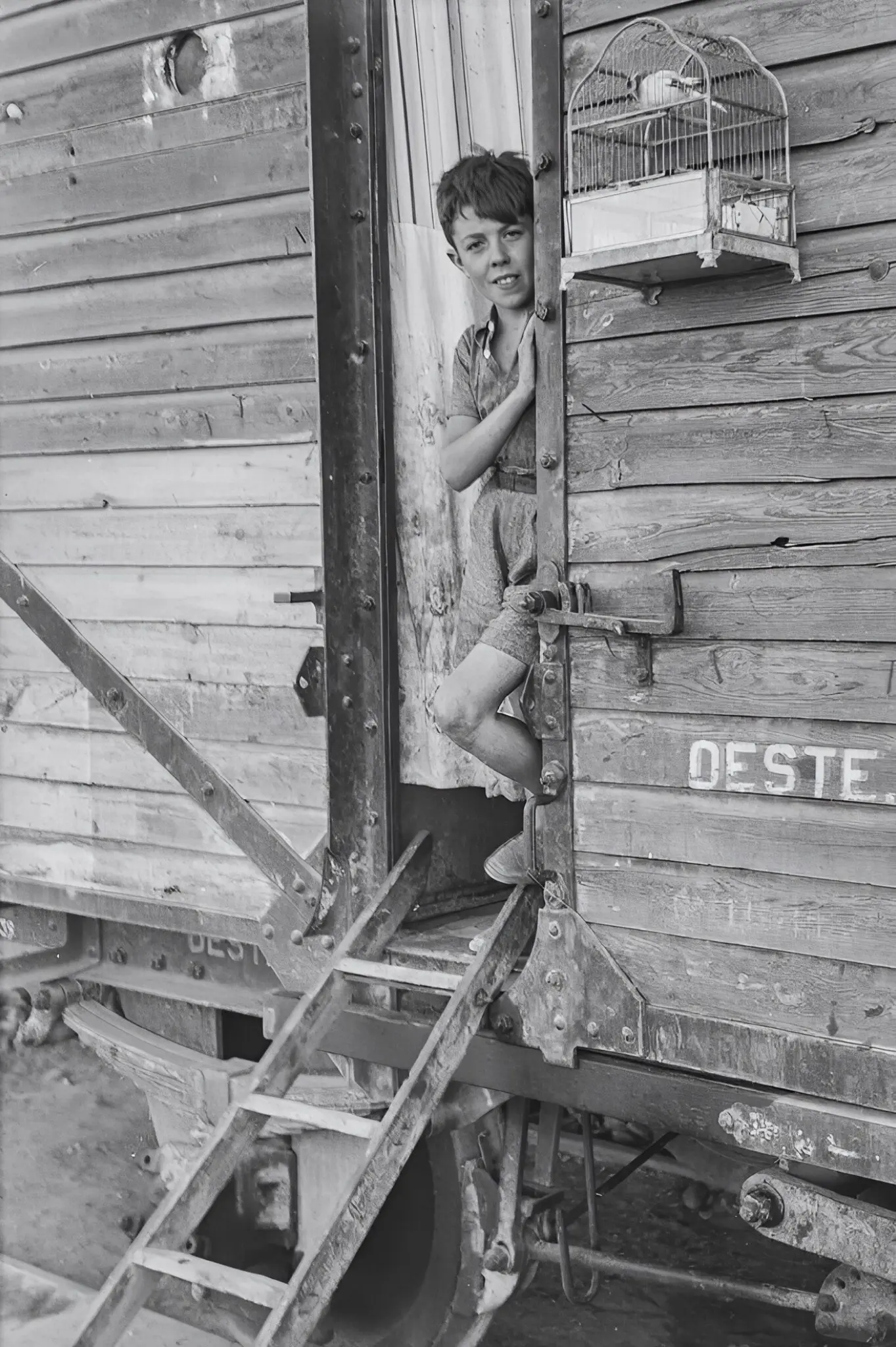 Inquilinos de vagones de tren 