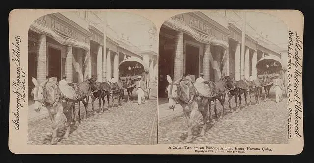 Principe Alfonso Street