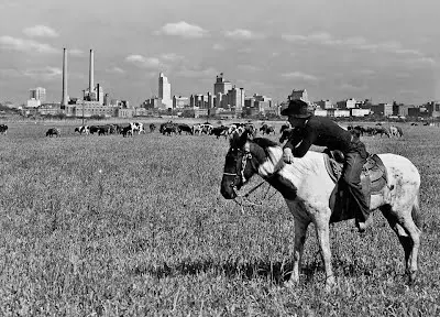 COWBOY IN DALLAS
