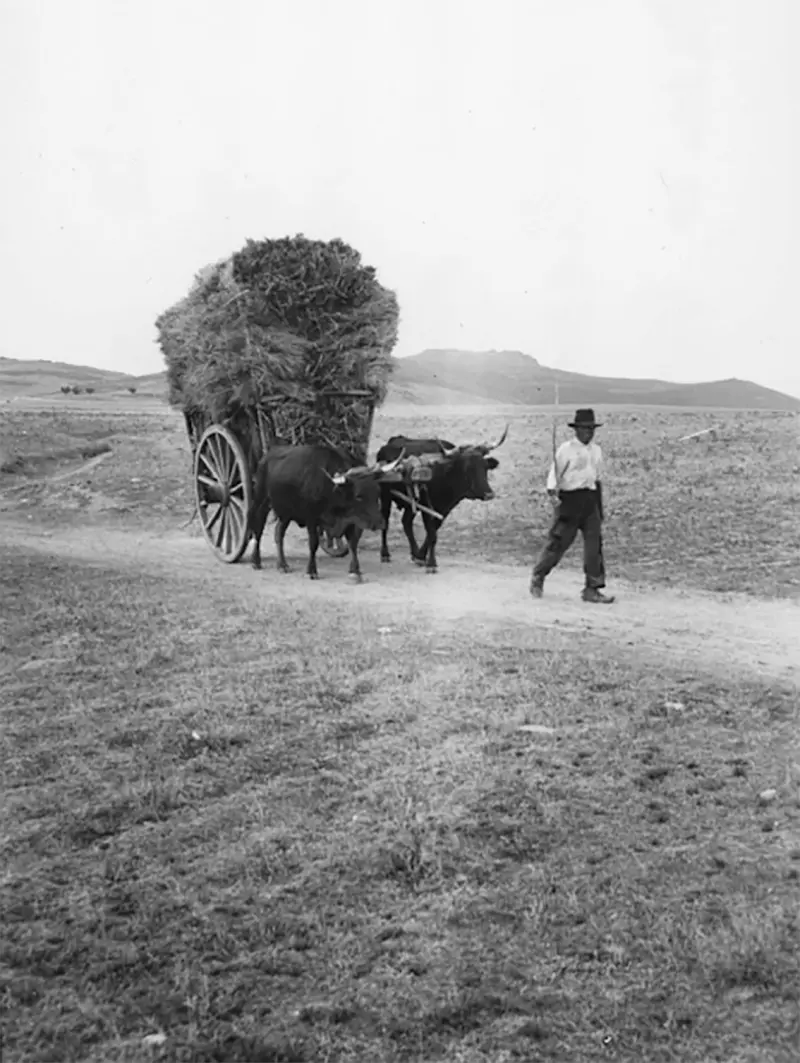 Carreta acarreando haces de trigo