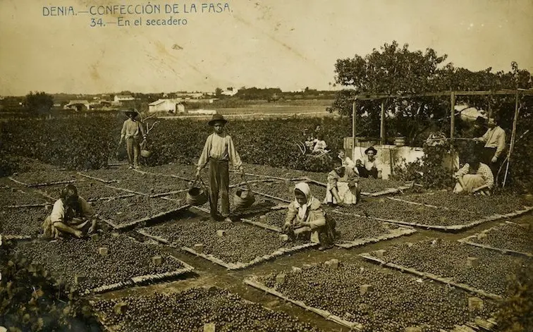 Confección de la pasa