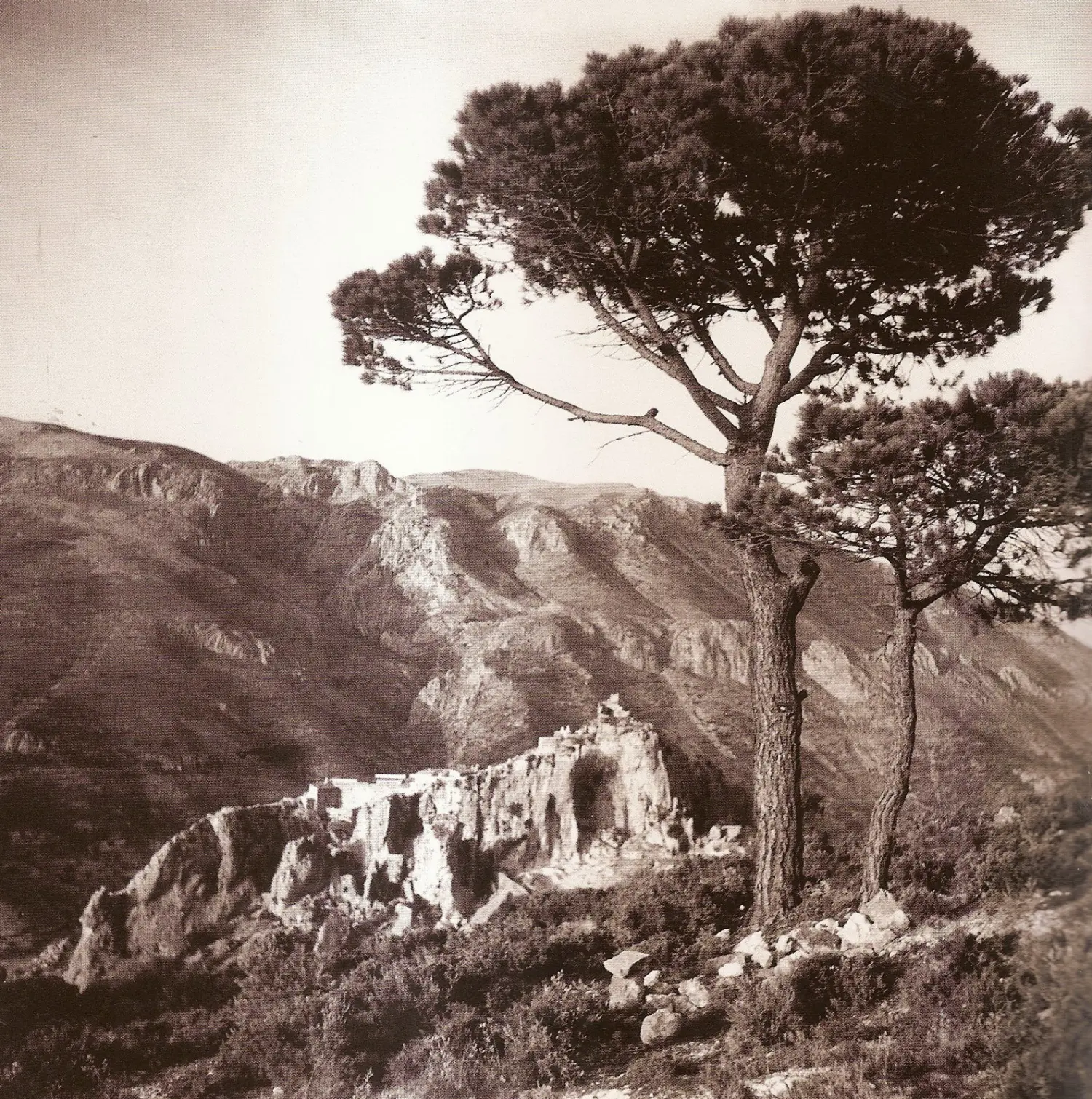 Vista general