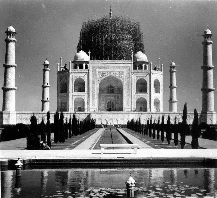 Dome of the Taj Mahal with Bamboo Forest