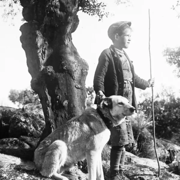 Muchacho y perro.