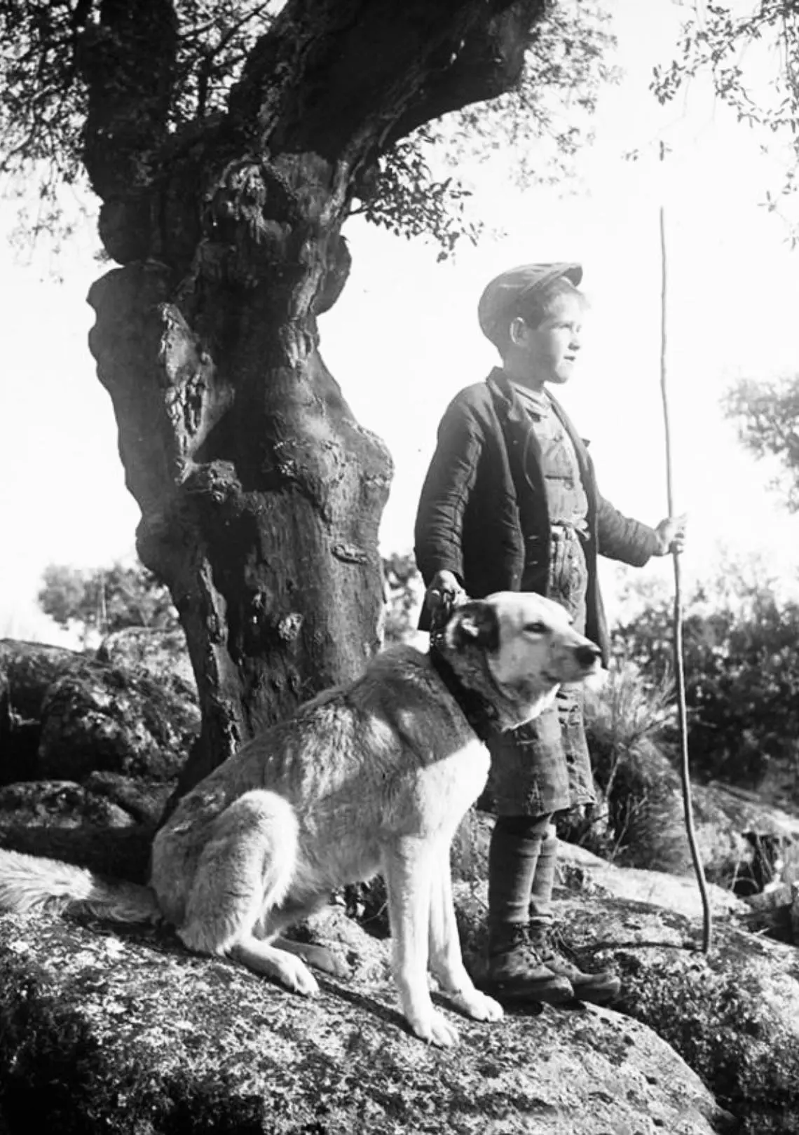 Muchacho y perro.