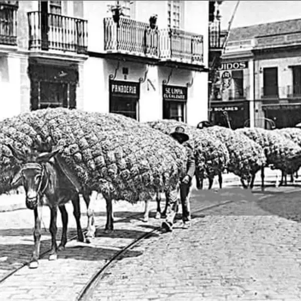 Por la calle San Jorge
