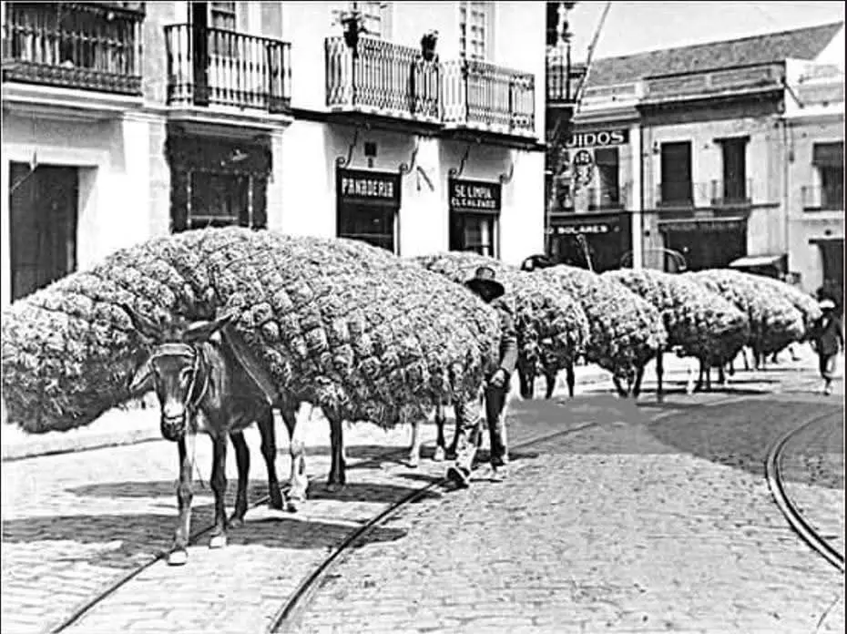 Por la calle San Jorge